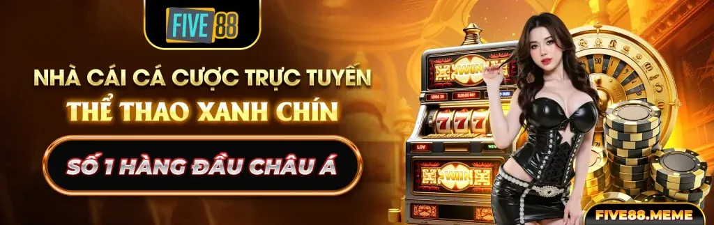 Các lợi ích và lý do chọn 5mb đăng ký